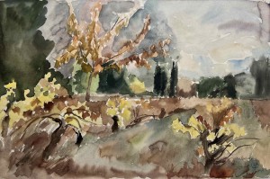 Vignes d'automne