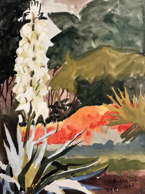 Galerie Montpellier | Richarme: Fleur de yucca